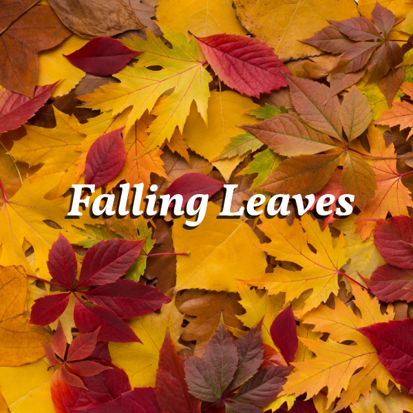 Falling Leaves
